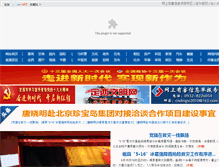 Tablet Screenshot of cndingxi.com